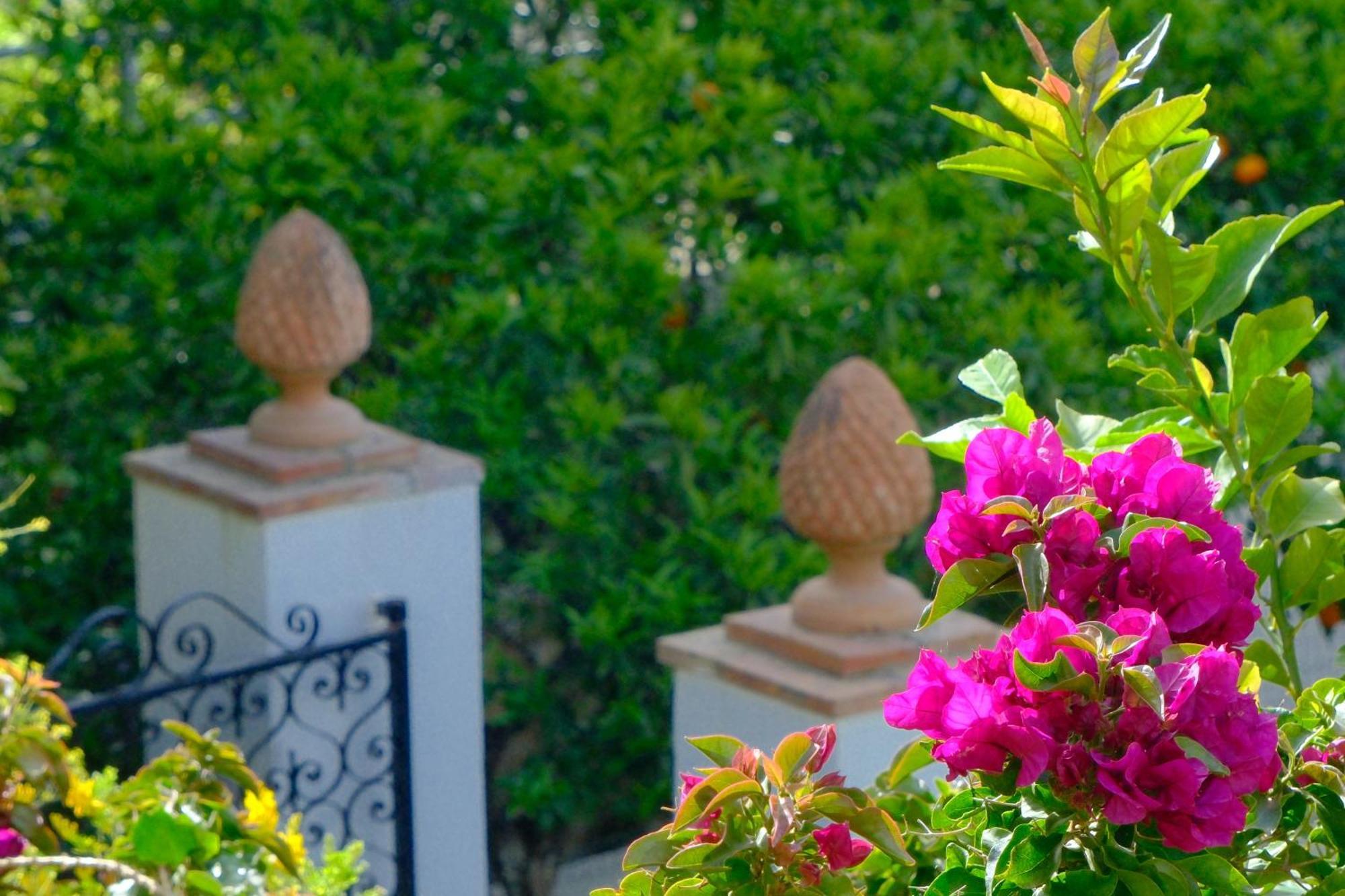 Villa Dorothee Capri Exterior photo