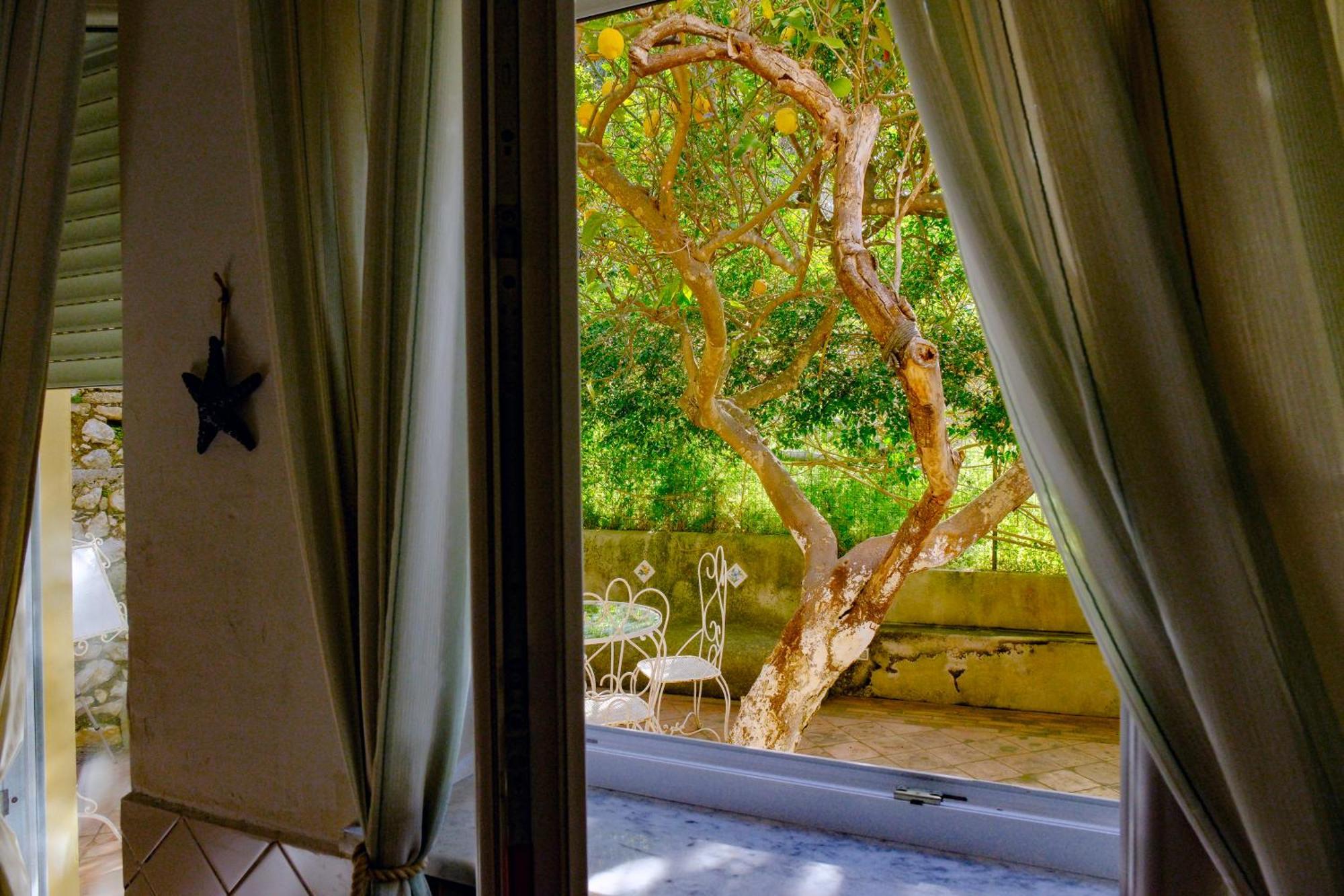 Villa Dorothee Capri Room photo